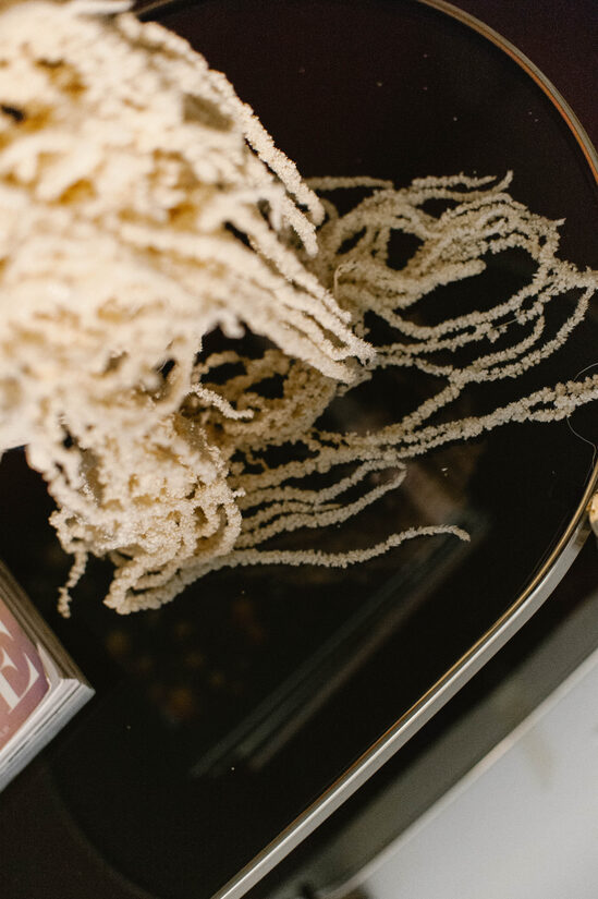 Pearl Cloud - Hófehér Amaránt