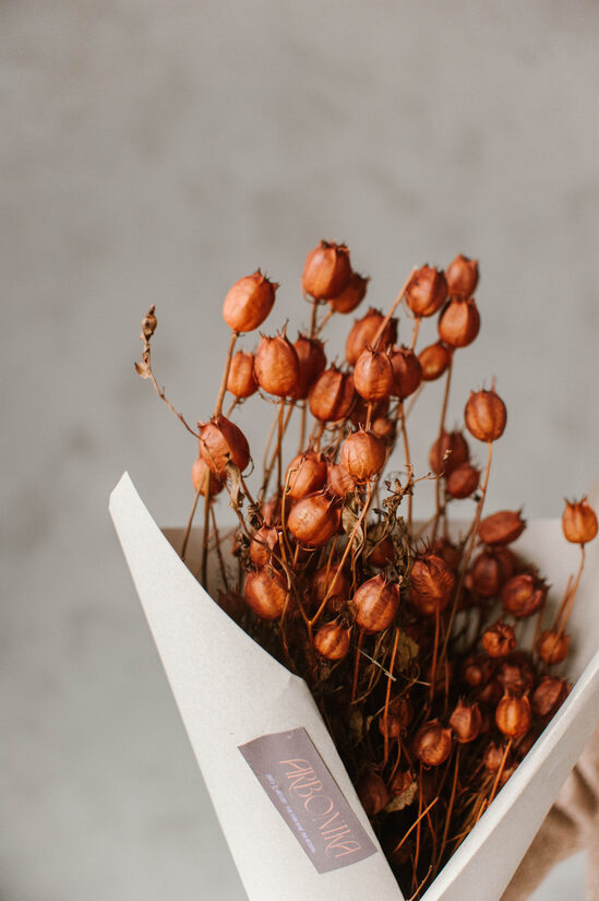 Cocoa Puff Borzaskata