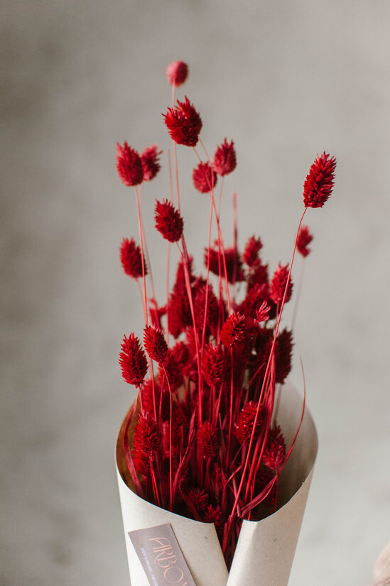 Crimson Bloom Fénymag