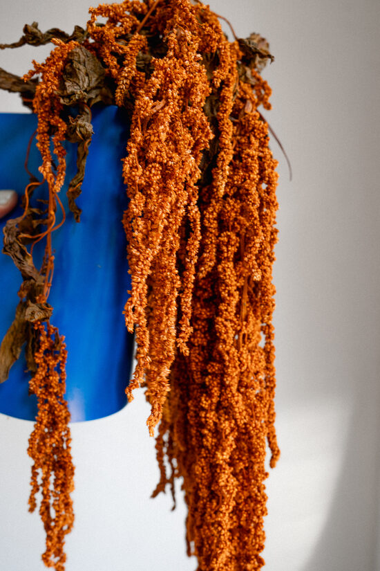 Amber Quiet Terrakotta Amaránt