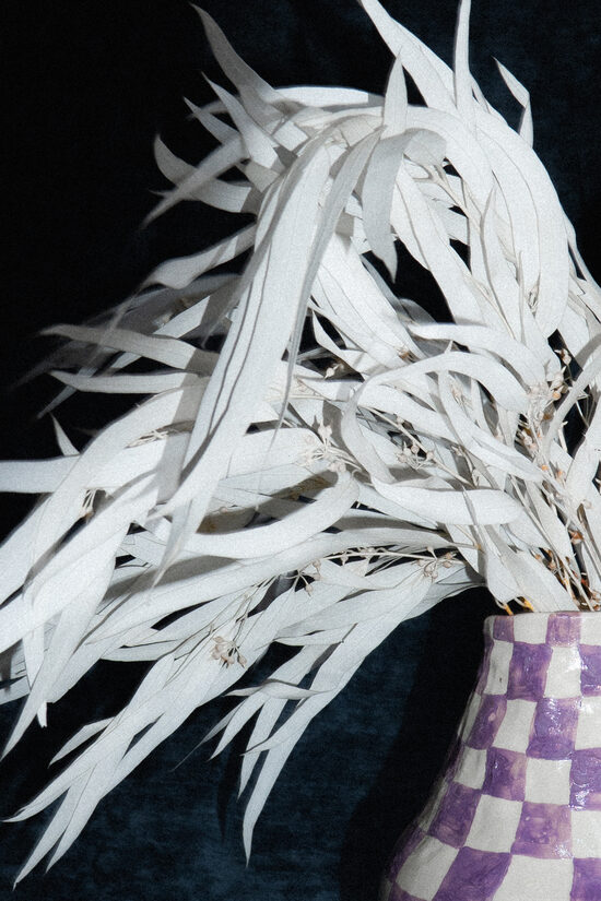 MOONLEAF SPEAR - FERÉRÍTETT EUKALYPTUS