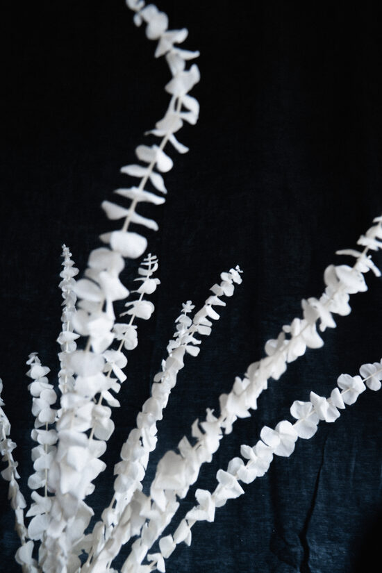 KEREKÍTETT FEHÉR EUKALYPTUS